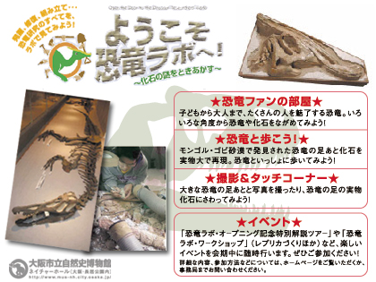「ようこそ恐竜ラボへ！」大阪市立自然史博物館にて開催中！