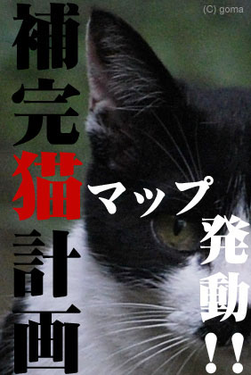 猫マップ補完計画発動中！