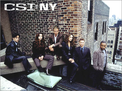 CSI_NY_domino.jpg