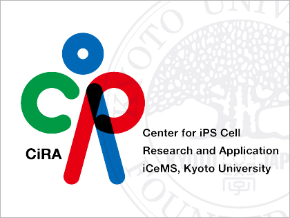 京都大学のiPS細胞研究センター「CiRA（サイラ）」サイトに期待