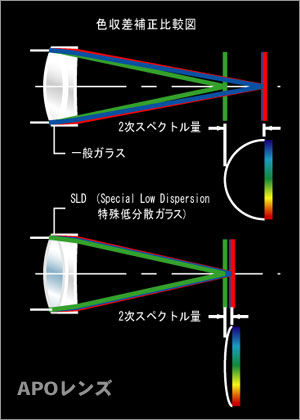 「Nikon D60 with SIGMA 50-500mm モニター日記-1」10倍ズームレンズの威力にノックダウン