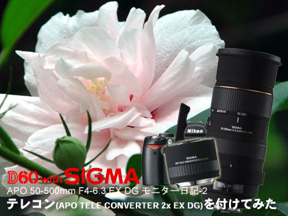 「Nikon D60 with SIGMA 50-500mm モニター日記-2」テレコン（APO TELE CONVERTER EX）を付けてみた