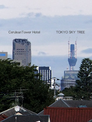 「Fujifilm FinePix F300 EXR」で「世田谷から東京スカイタワーの撮影」にトライ！