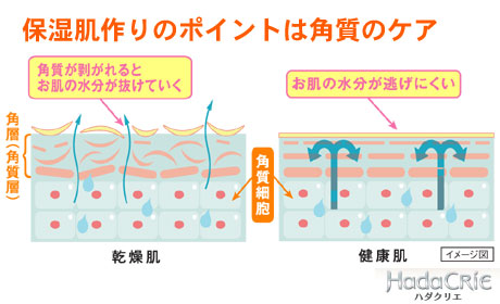 「ハダクリエ」は、普段使いの化粧水でお肌ぷるぷるになる女子力アップの秘密兵器