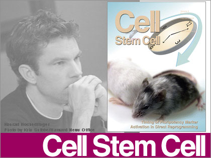 体細胞がiPS細胞になるまでの遺伝子の働き Cell Stem Cell
