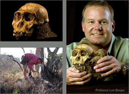 新種の猿人の頭がい骨、南アフリカで発見される！！