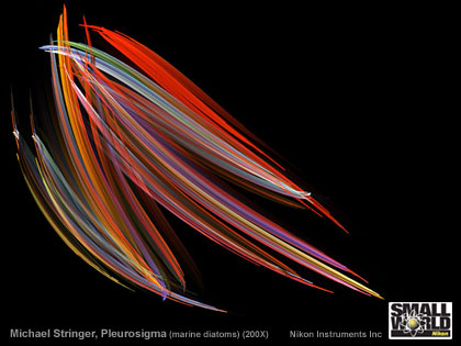 Nikon Small World 顕微鏡写真コンテストの写真を壁紙にいかが N00bs