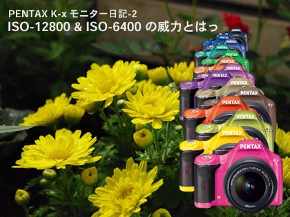 PENTAX「K-x」、ISO-6400 & ISO-12800の威力とはっ（モニター日記-2）