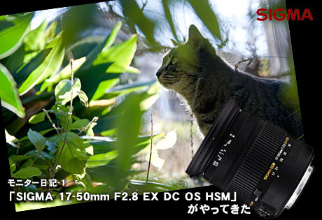 「SIGMA 17-50mm F2.8 EX DC OS HSM」がやってきた