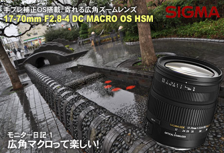 広角マクロって楽しい！「SIGMA 17-70mm F2.8-4 DC MACRO OS HSM」モニター日記-1