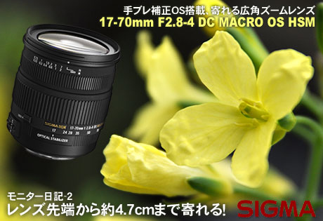 レンズ先端から約4.7cmまで寄れる！「SIGMA 17-70mm F2.8-4 DC MACRO OS HSM」モニター日記-2