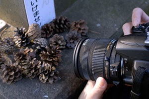 SIGMAの「50mm F1.4」と「17-70mm F2.8-4 MACRO OS」をPENTAX K-xで試し撮り！