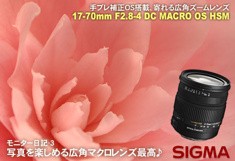 癒される広角マクロレンズ「SIGMA 17-70mm F2.8-4 DC MACRO OS HSM」モニター日記-3