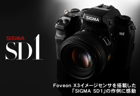 Foveon X3イメージセンサを搭載した「SIGMA SD1」が凄い！