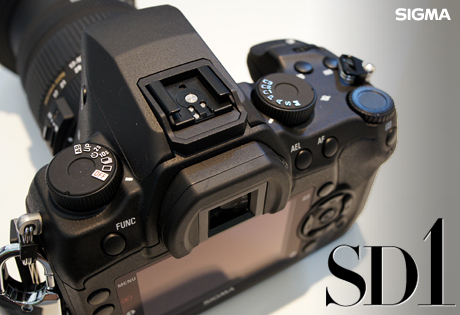 SIGMA SD1の描写力は凶器と呼んでもいいかもしれない