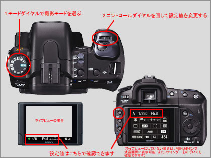 SONY「α300」モニター日記（Act-1：デジイチを使ってみる）