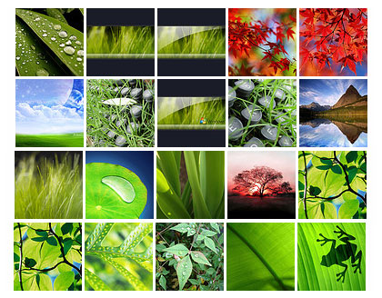Windows-Vista-Wallpapers.jpg