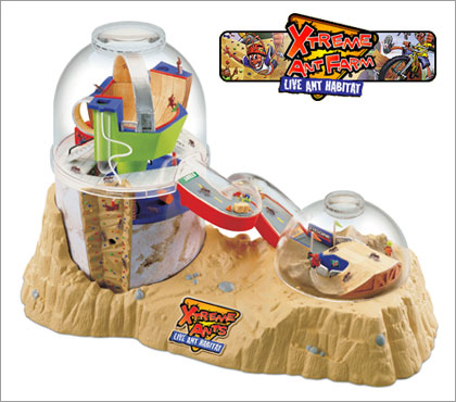 Xtreme Ant farm