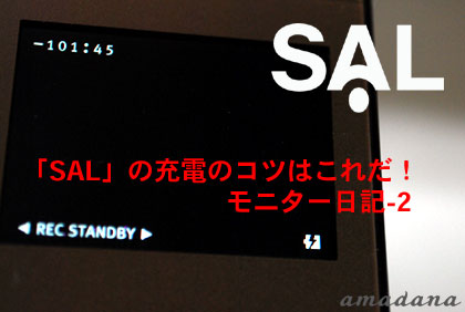 amadana(アマダナ）「SAL」の充電のコツはこれだ！：モニター日記-2