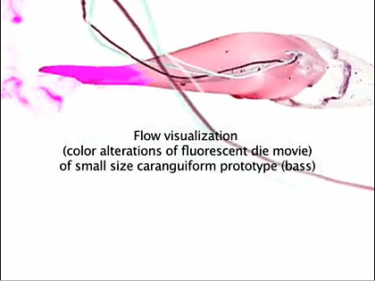 MITが本物そっくりの泳ぎを再現した魚型ロボットを開発