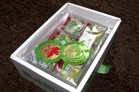 「第3新東京市土産 ジオフロント直送 西瓜饅頭」買ってきました