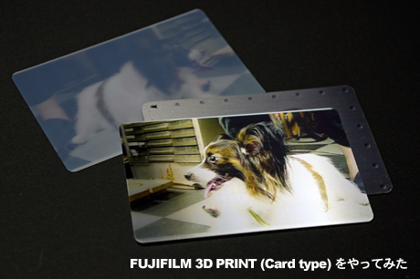 FUJIFILMネットプリントサービスで3Dプリント(カードサイズ）をやってみた（GS-TD1-0）