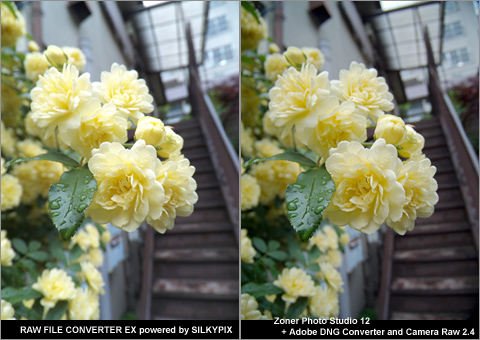 「Fujifilm FinePix F550EXR」RAW撮影篇：『RAW FILE CONVERTER EX powered by SILKYPIX』で現像してみた