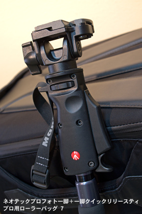 Manfrotto「ネオテックプロフォト一脚」ならすぐに撮影が可能なのだ：マンフロットと行く箱根-1