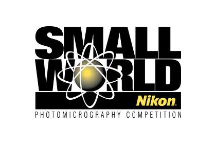 「Nikon Small World 2011」入賞作品！　2012年からは動画部門もスタート
