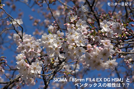 SIGMA「85mm F1.4 EX DG HSM」と、ペンタックスの相性は？？：モニター日記-2