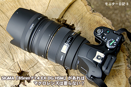 SIGMA「85mm F1.4 EX DG HSM」があれば、マクロレンズは要らない？：モニター日記-3