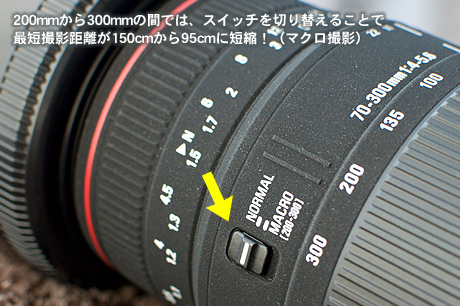 テレマクロ機構搭載、SIGMA「APO 70-300mm F4-5.6 DG MACRO」がやってきた