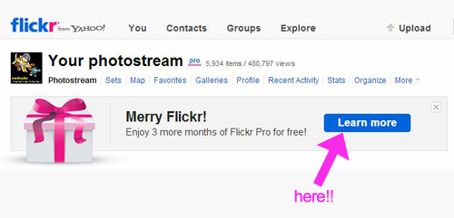 Merry Flickr! Flickrが3ヶ月分のProアカウントをプレゼント中～