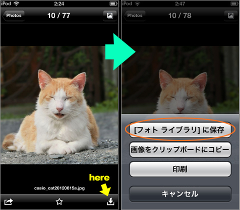 「iPod touch 5th」で「Dropbox」の写真を保存できない･･･と思いきや