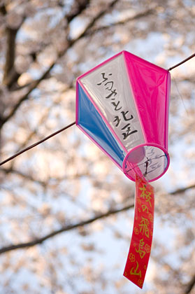 今年も「お花見＆モデル撮影会」に参加してきました！場所は飛鳥山公園なり