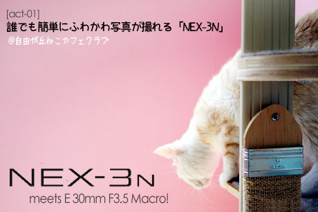 「NEX-3N」なら、誰でも簡単にふわかわ写真が撮れるのだ