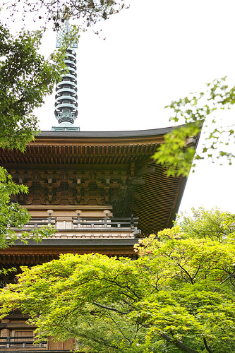 「SIGMA DP3 Merrill」と行く世田谷線・豪徳寺（モニター日記-2）