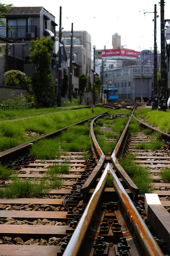 「SIGMA DP3 Merril」と行く世田谷線・豪徳寺（モニター日記-2）