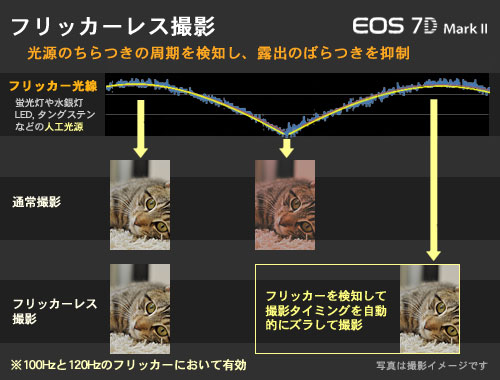 一瞬を逃さない、進化した7D誕生！「EOS 7D Mark II」を体感してきた：モニター日記-0