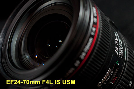 EF24-70mm F4L IS USM でマクロ撮影篇：EOS 7D Mark II モニター日記-1