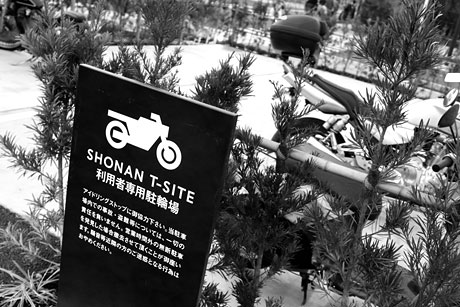 湘南に新しい蔦屋書店がオープン！SHONAN T-SITE